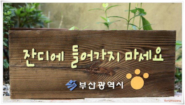 398d86563bfee9bd4bed6ed0039e5e37_1687965886_491.jpg